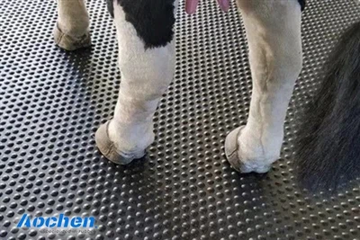 AOCHEN Rubber Mats: Full-Scene Fit For Horses, Cows & Large Animals – Protect Health & Farm Safety